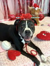 RUBY - Photo 1