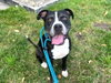 RUBY - Photo 1