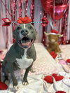 COCO - Photo 1