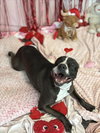 COLBIE - Photo 1