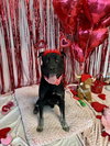 CLETUS - Photo 1