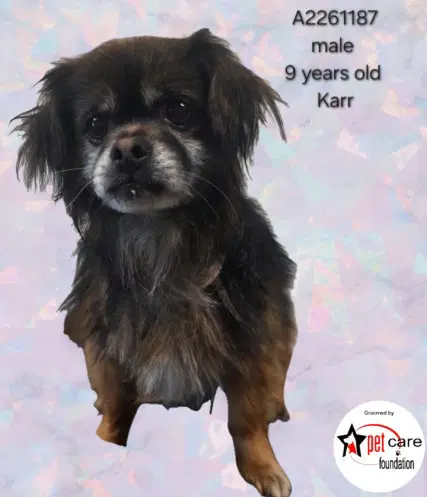 Karr image 1
