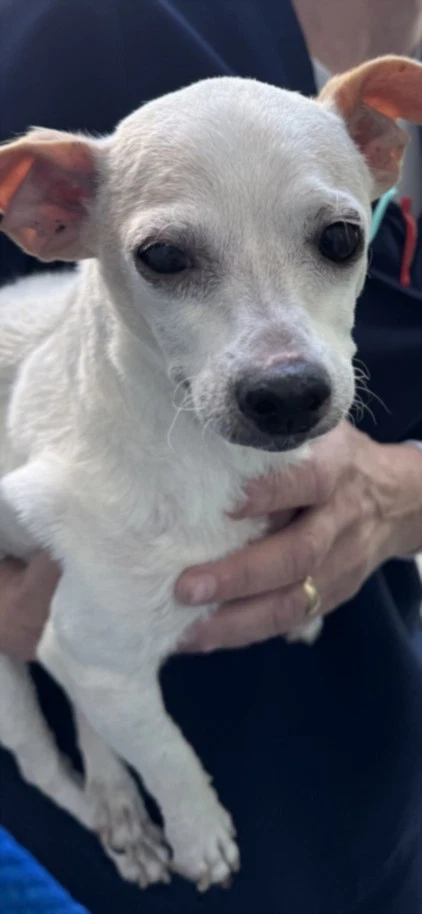 Kiki