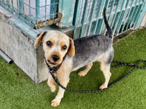 RALPH