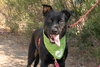 OSO - Photo 1