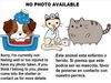 adoptable Cat in Los Angeles, CA named A2211088