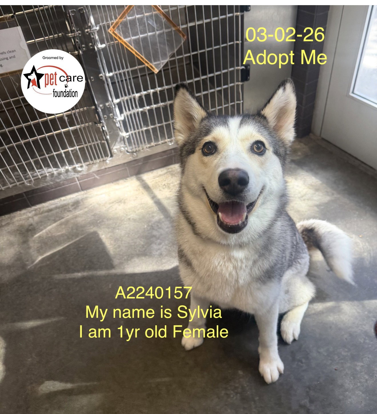 Sylvia