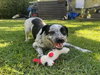 SPOT - Photo 1