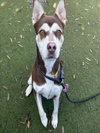 FIONA - Photo 1