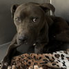 LEROY - Photo 1