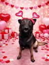 CUPID - Photo 1