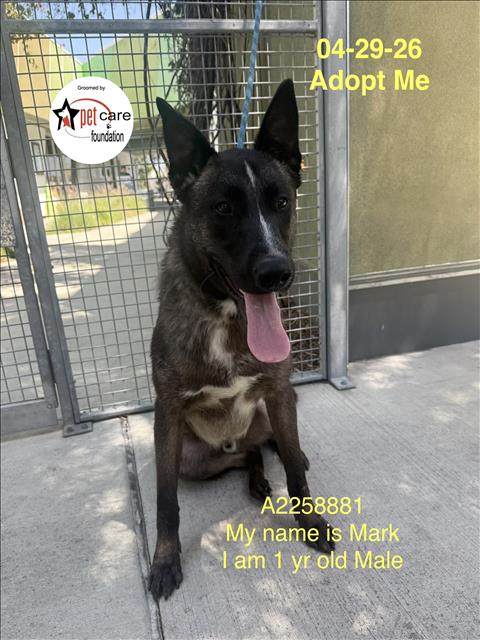 MARK