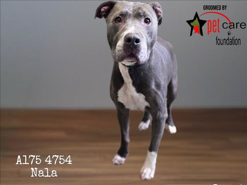 NALA