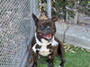 HULK - Photo 1