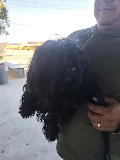 ROKI