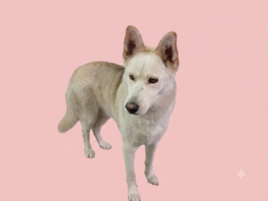 LUNA