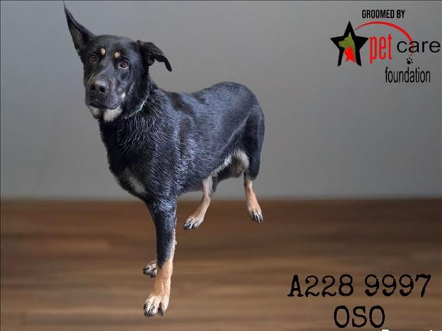 OSO