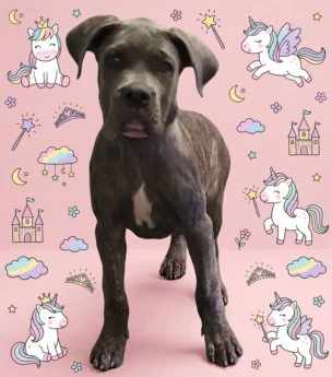 Unicorn Princess Sweetie