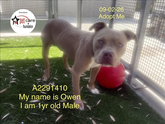 Owen