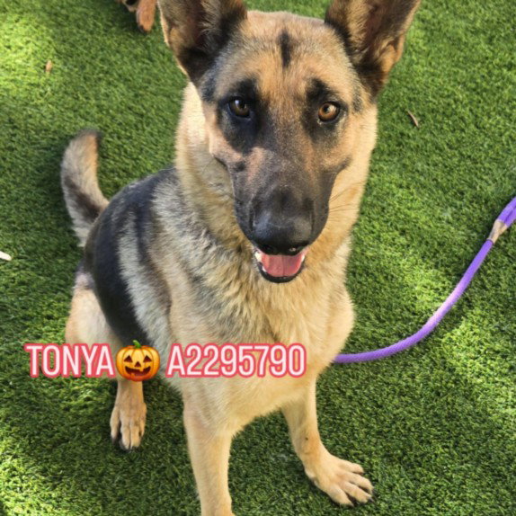 TONYA