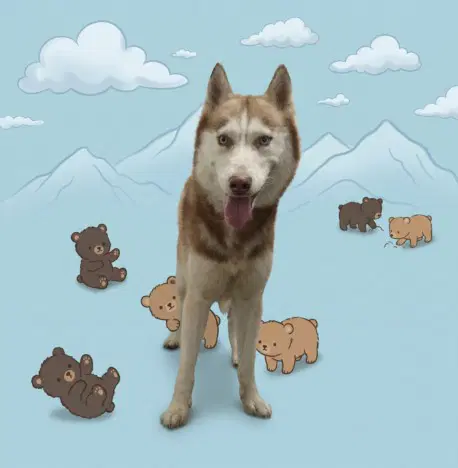 Cub - Husky