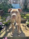 EL ROY - Photo 1