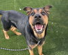 GUNNER - Photo 1