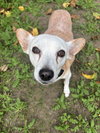 TONY - Photo 1