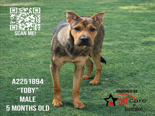 TOBY Image