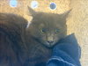 CLAWDIA - Photo 1