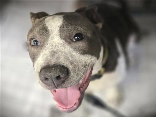 CHICO