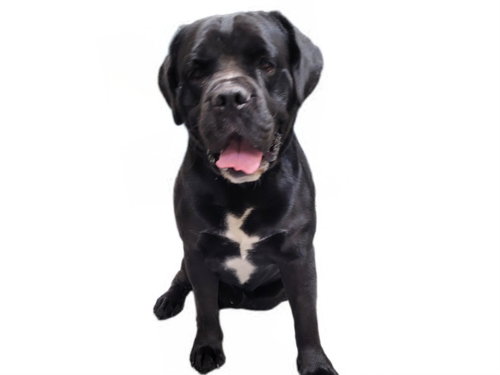 BEN