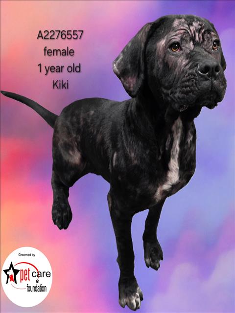 KIKI Image