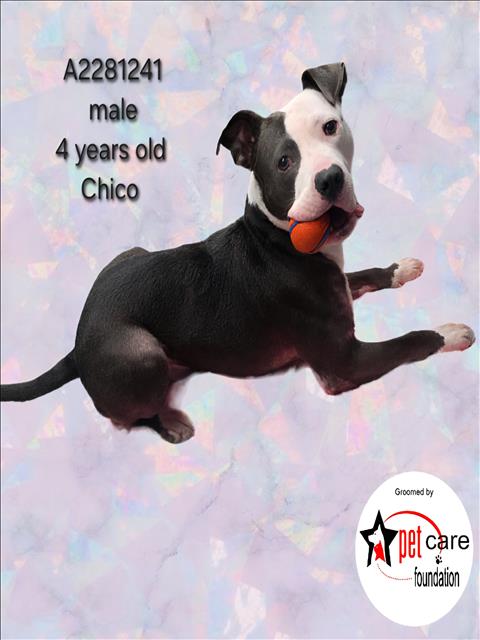 CHICO