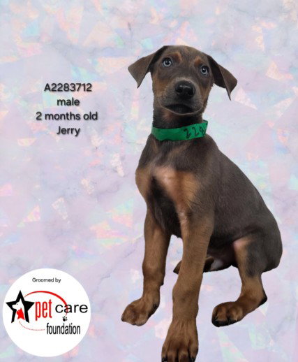 JERRY