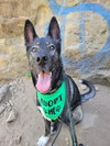 CHASE - Photo 1