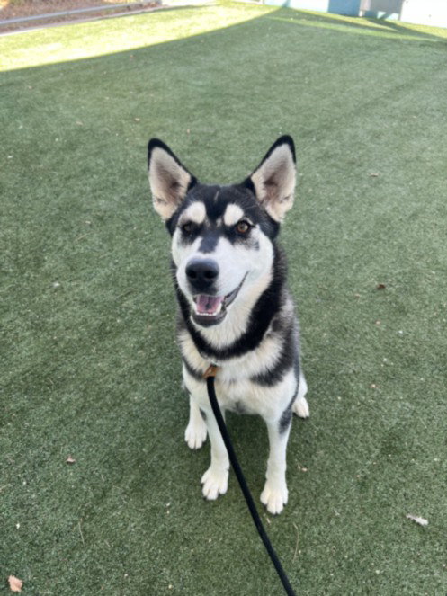 LUNA