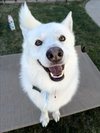 ASPEN - Photo 1