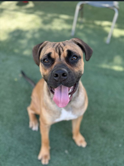 KONA