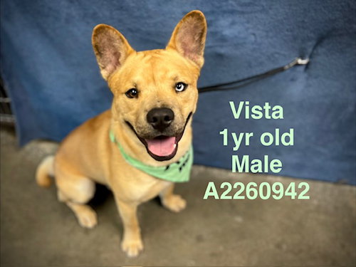 VISTA