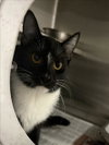 LILY - Photo 1