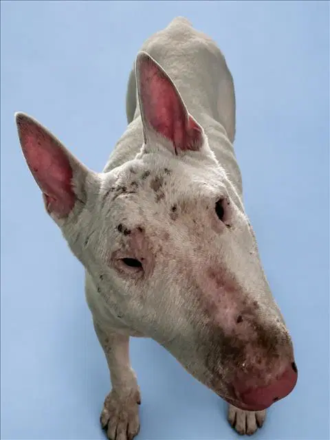 Friday image 1