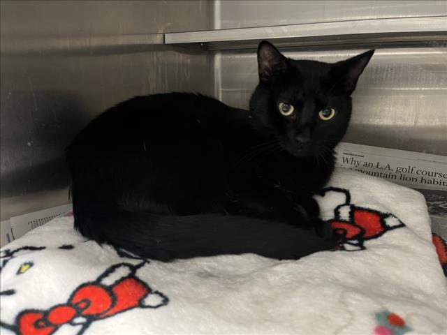 SALEM