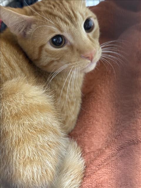 Timmy