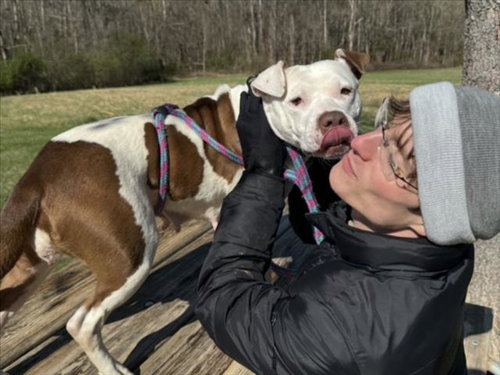 picture of the dog needing adoption