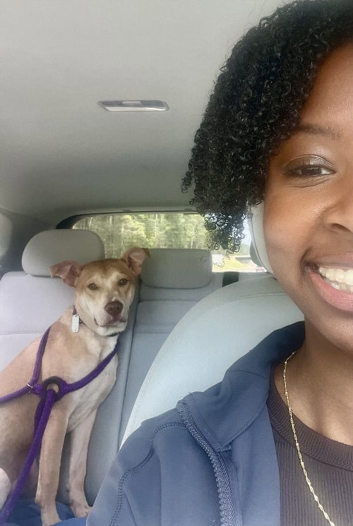 picture of the dog needing adoption