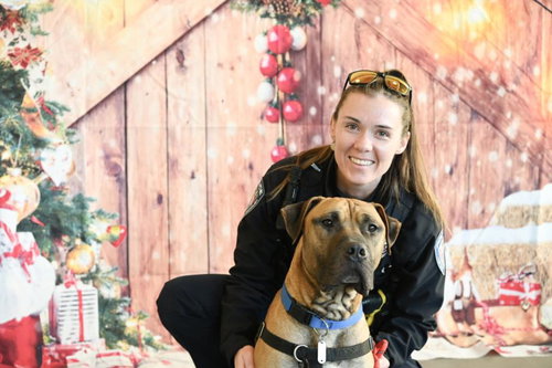 THANOS**, an adoptable Presa Canario in Chapel Hill, NC