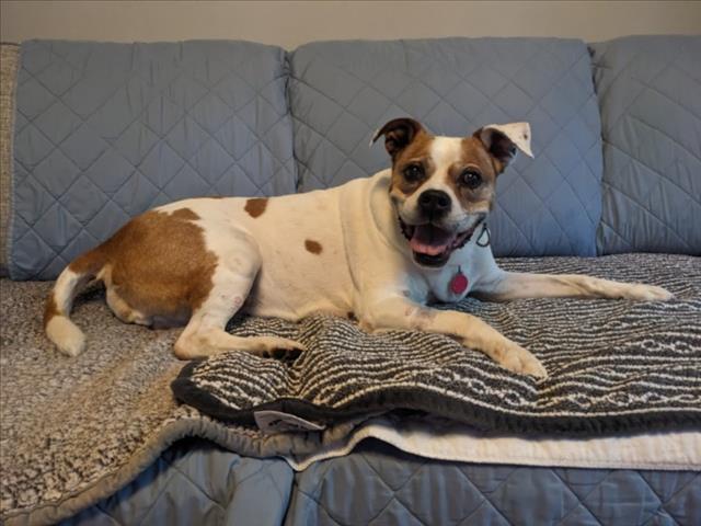 DAISY MAE