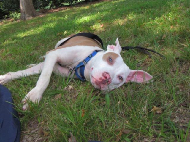 Billy