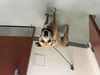 adoptable Dog in  named LI ANGELO